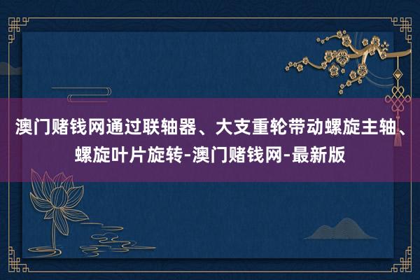 澳门赌钱网通过联轴器、大支重轮带动螺旋主轴、螺旋叶片旋转-澳门赌钱网-最新版